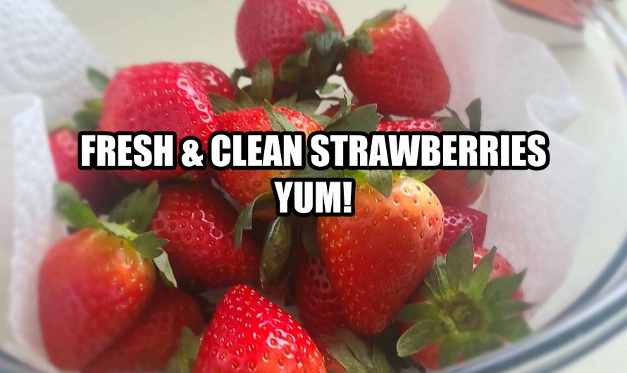 Wash Those Fruits & Veggies!
