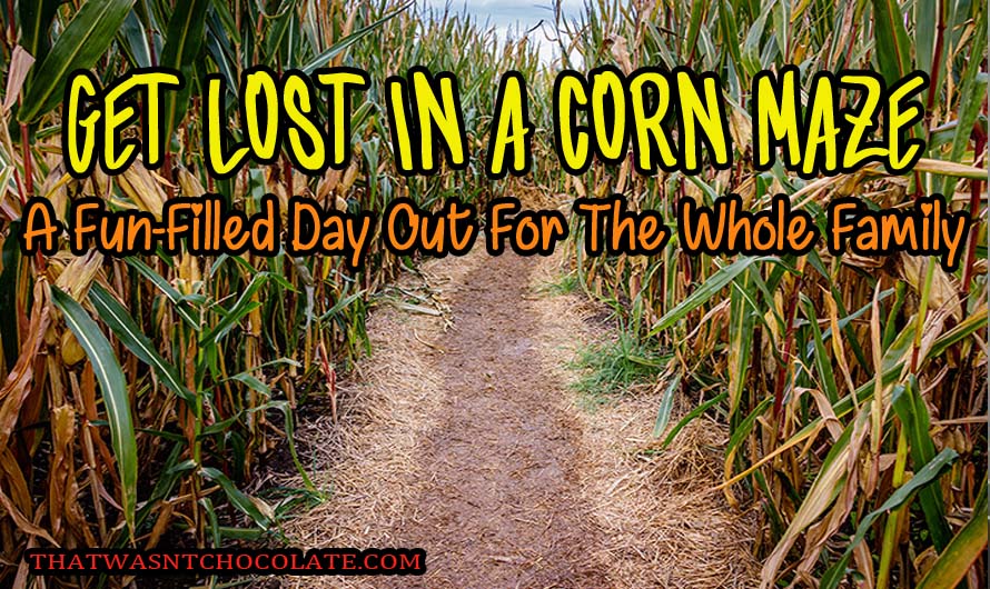 Get Lost In A Corn Maze: A Fun-Filled Day Out For The Whole Family