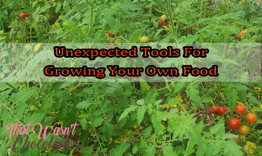 Unexpected Tools For Growing Your Own Food